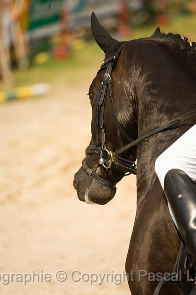 IMG_1429PL.JPG