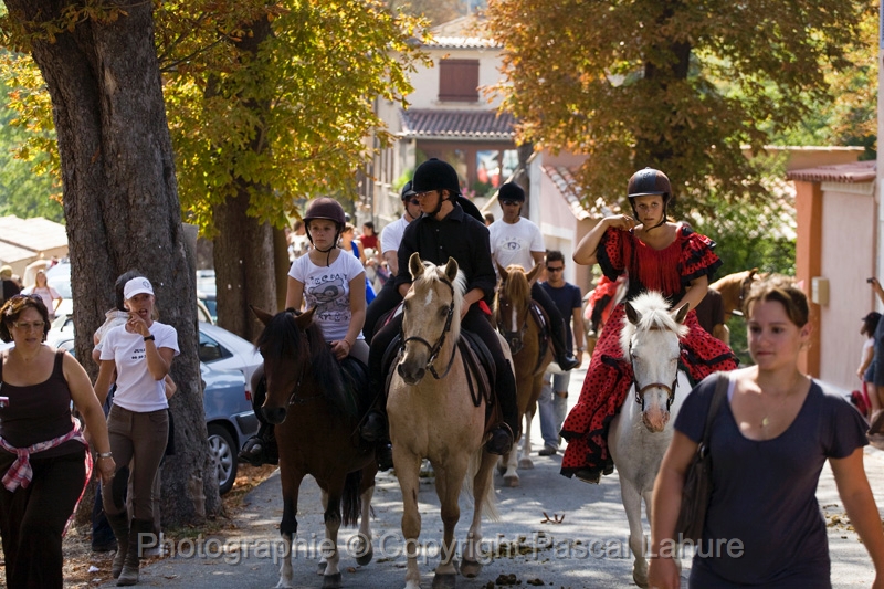 IMG_1332PL.JPG