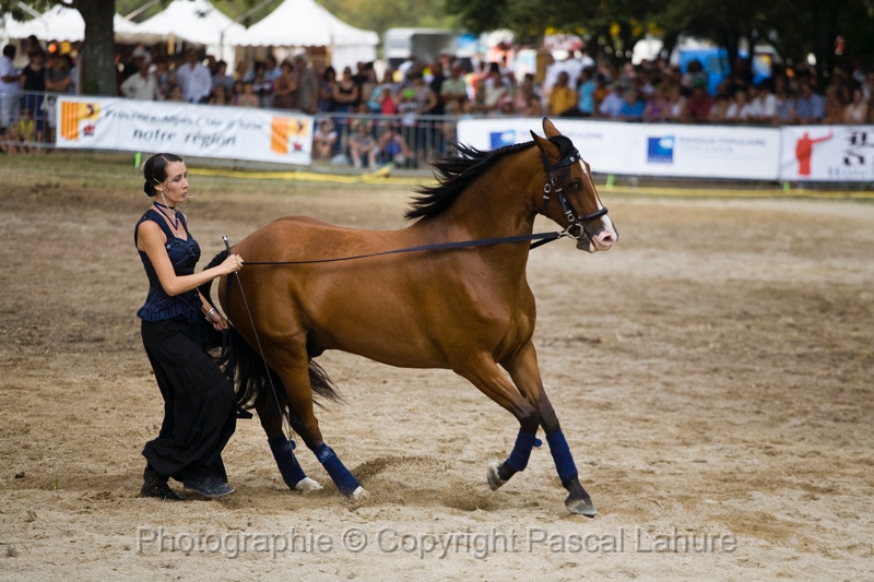 IMG_1344PL.JPG
