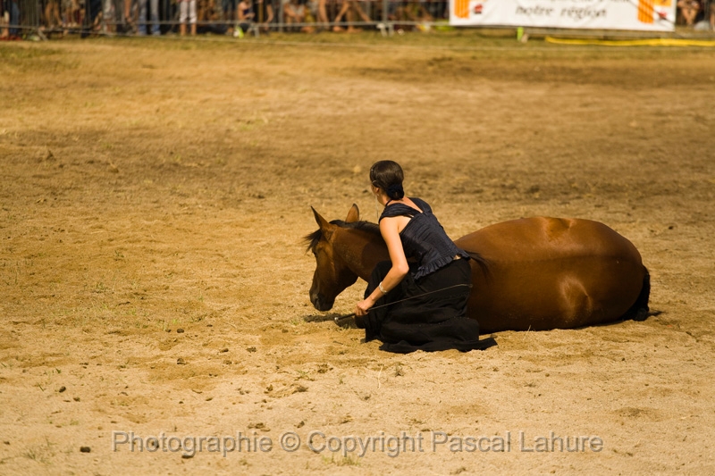 IMG_1346PL.JPG