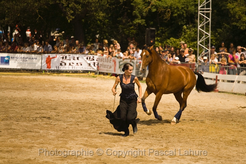IMG_1349PL.JPG