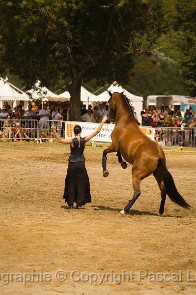 IMG_1350PL.JPG