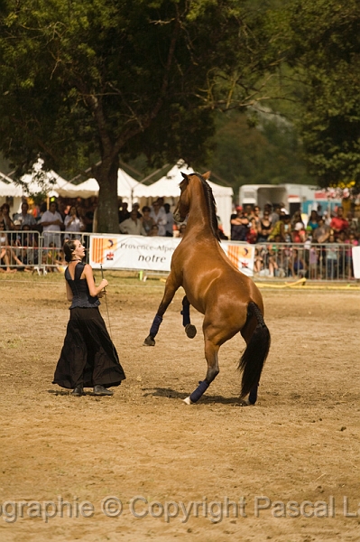 IMG_1351PL.JPG