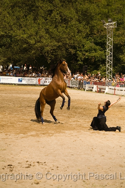IMG_1352PL.JPG