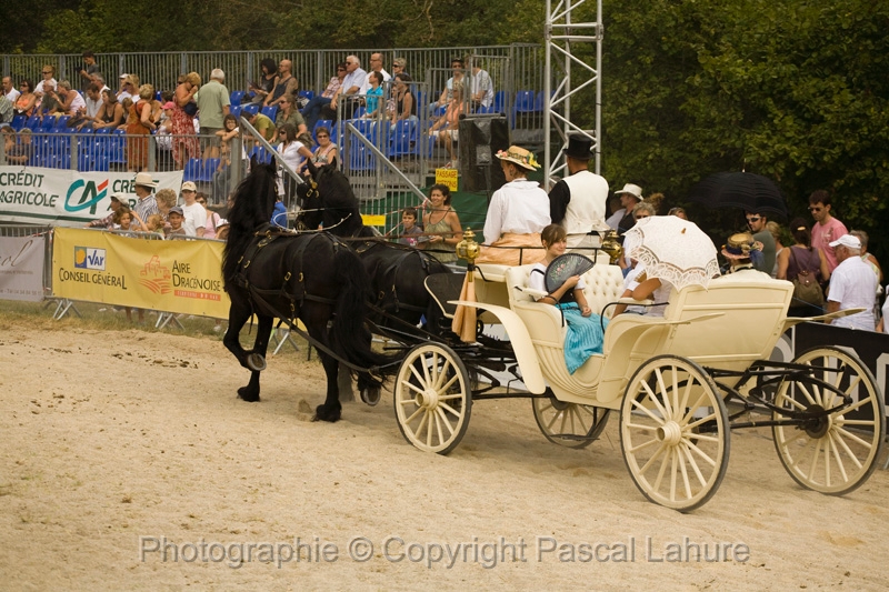 IMG_1360PL.JPG