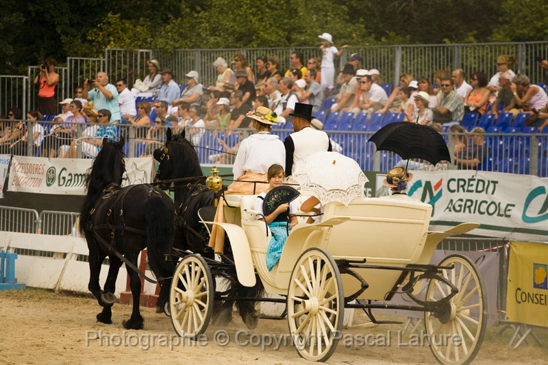 IMG_1361PL.JPG