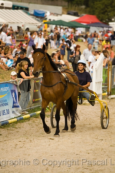 IMG_1362PL.JPG