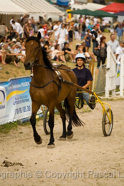 IMG_1363PL.JPG