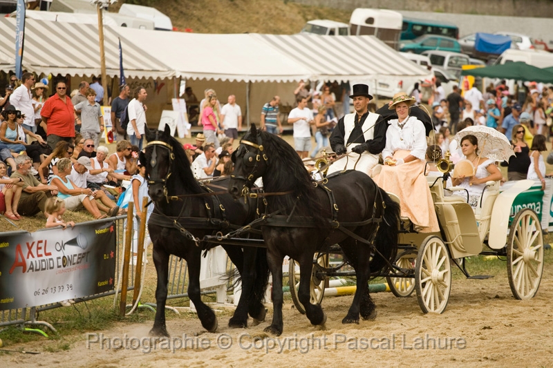IMG_1365PL.JPG