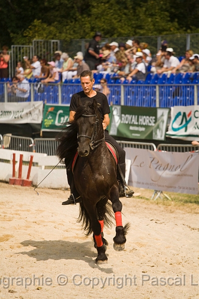 IMG_1379PL.JPG