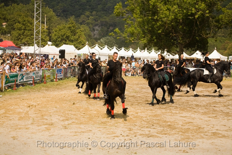 IMG_1388PL.JPG