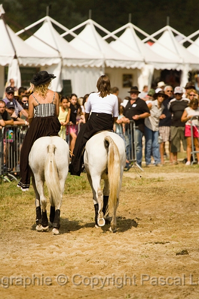 IMG_1407PL.JPG