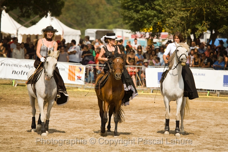 IMG_1414PL.JPG