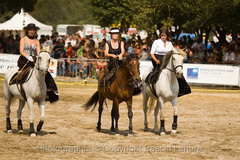 IMG_1415PL.JPG