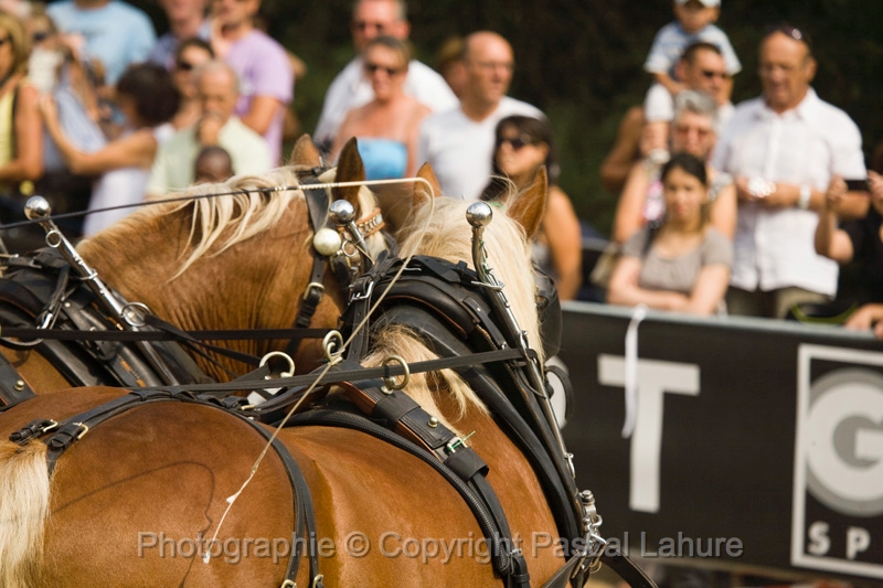 IMG_1419PL.JPG