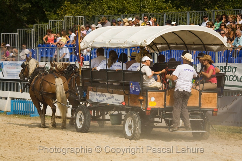 IMG_1420PL.JPG