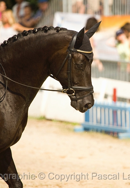 IMG_1441PL.JPG