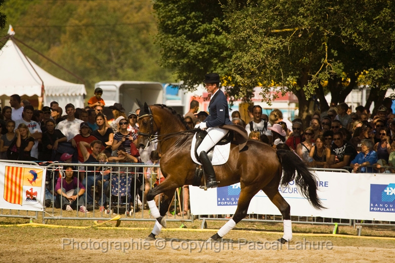 IMG_1456PL.JPG