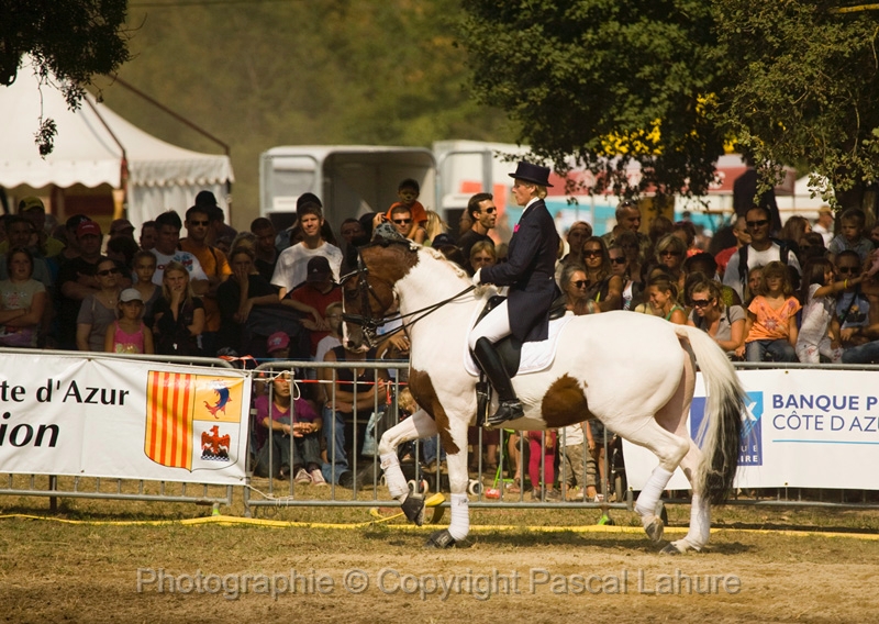 IMG_1502PL.JPG