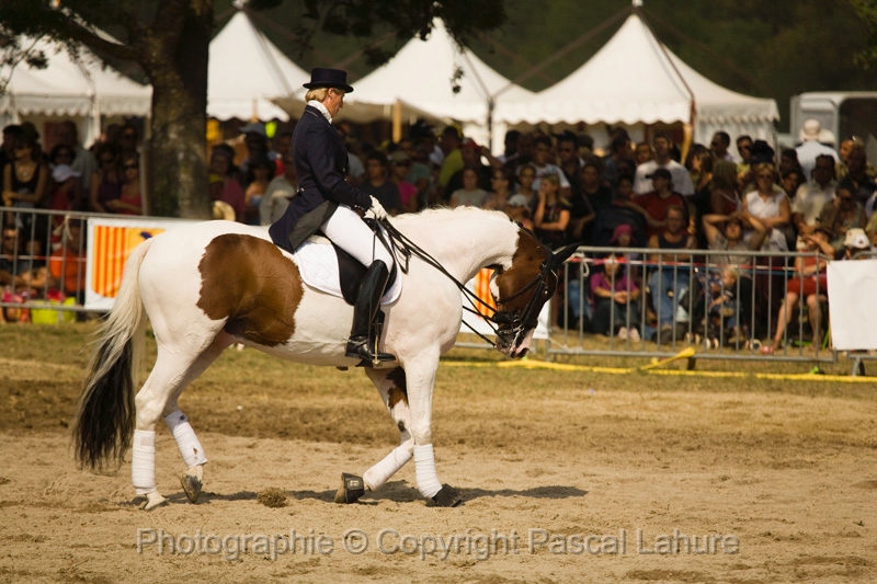 IMG_1533PL.JPG