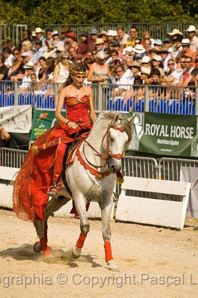IMG_1549PL.JPG