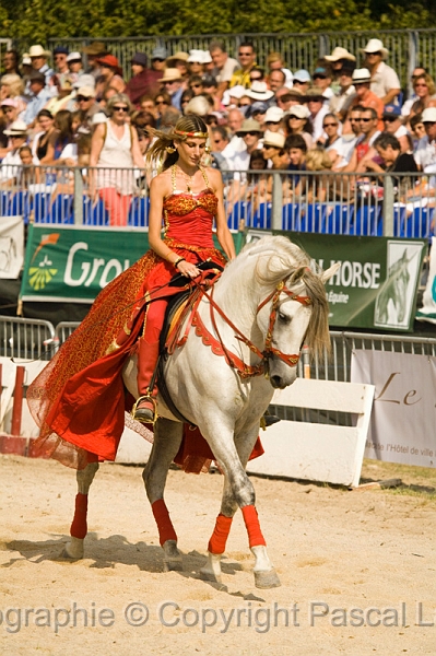 IMG_1550PL.JPG