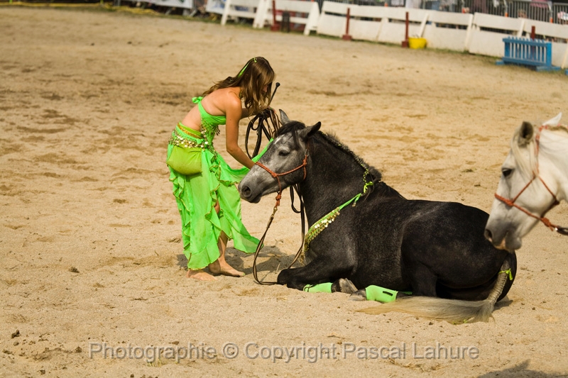 IMG_1592PL.JPG
