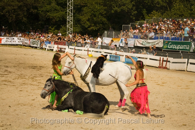 IMG_1597PL.JPG