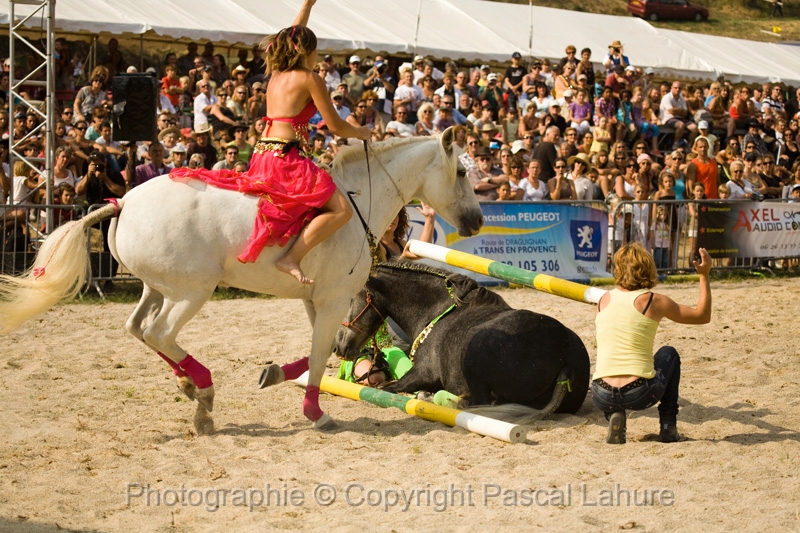 IMG_1602PL.JPG
