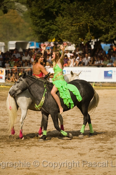 IMG_1609PL.JPG