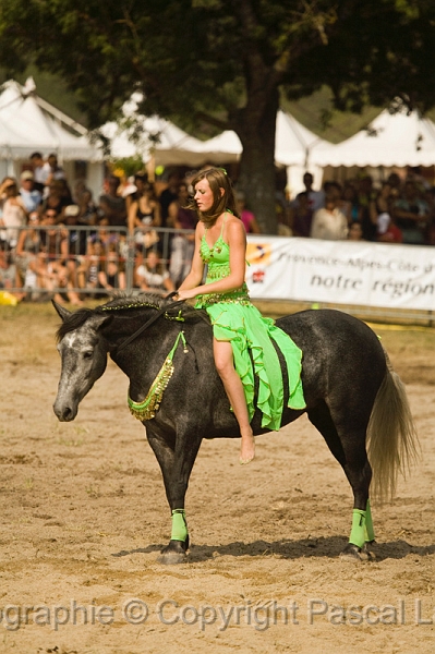IMG_1611PL.JPG