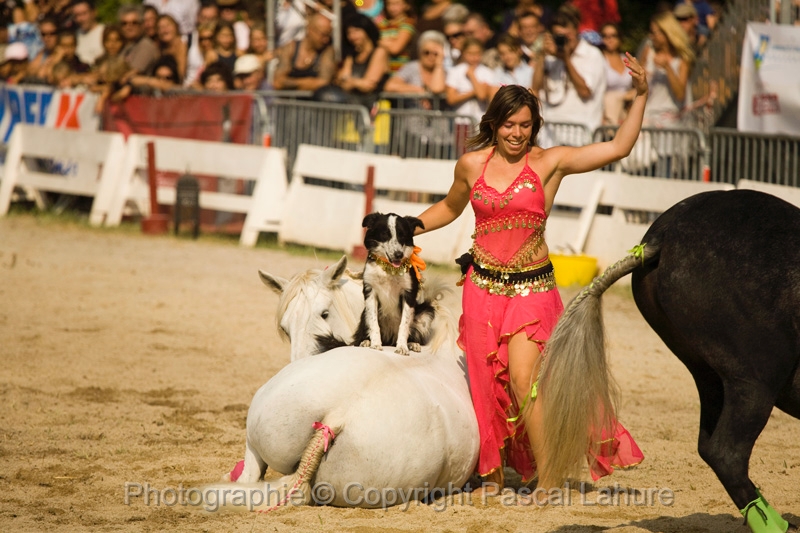 IMG_1615PL.JPG