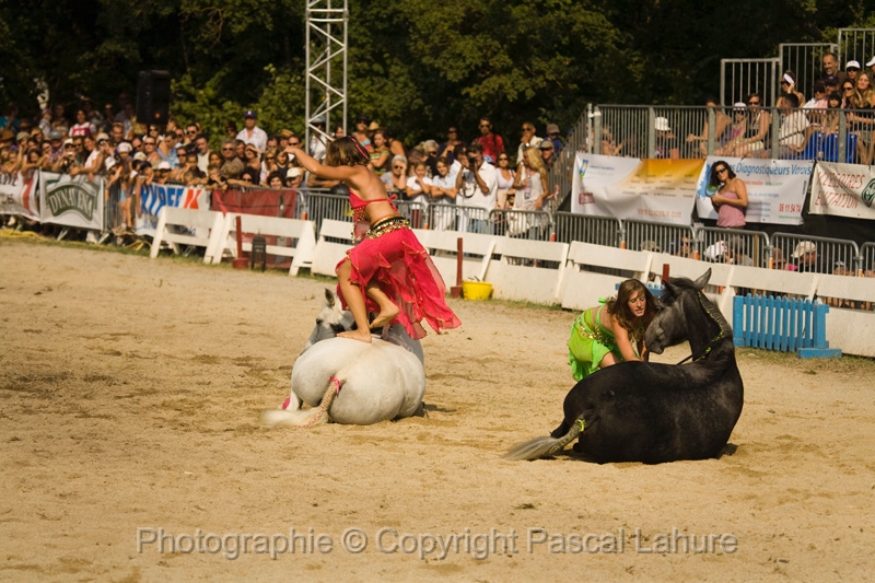 IMG_1616PL.JPG