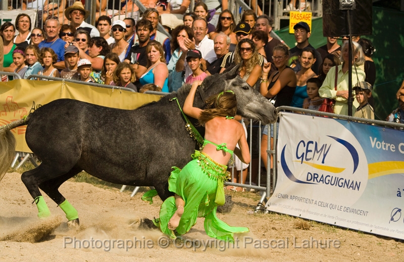 IMG_1622PL.JPG