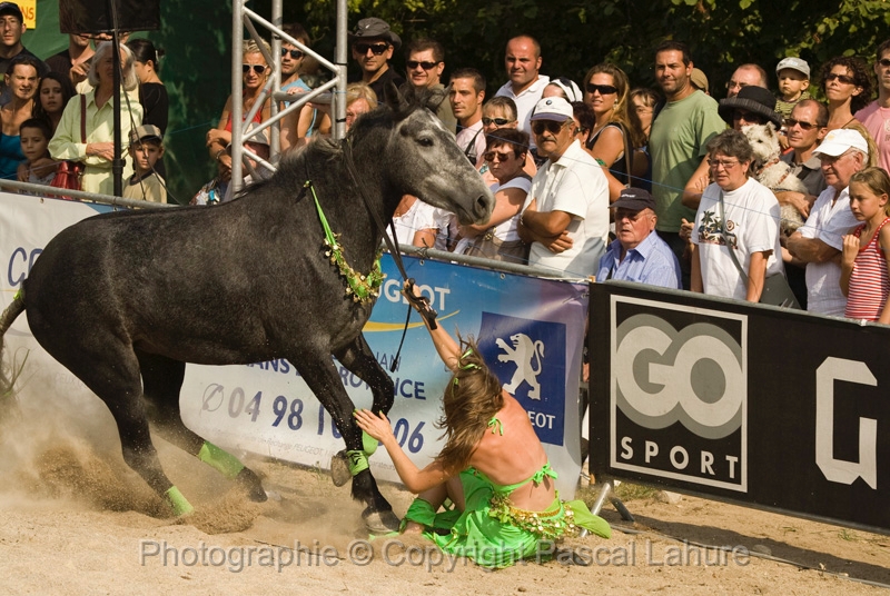 IMG_1624PL.JPG