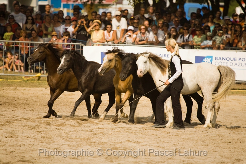 IMG_1626PL.JPG