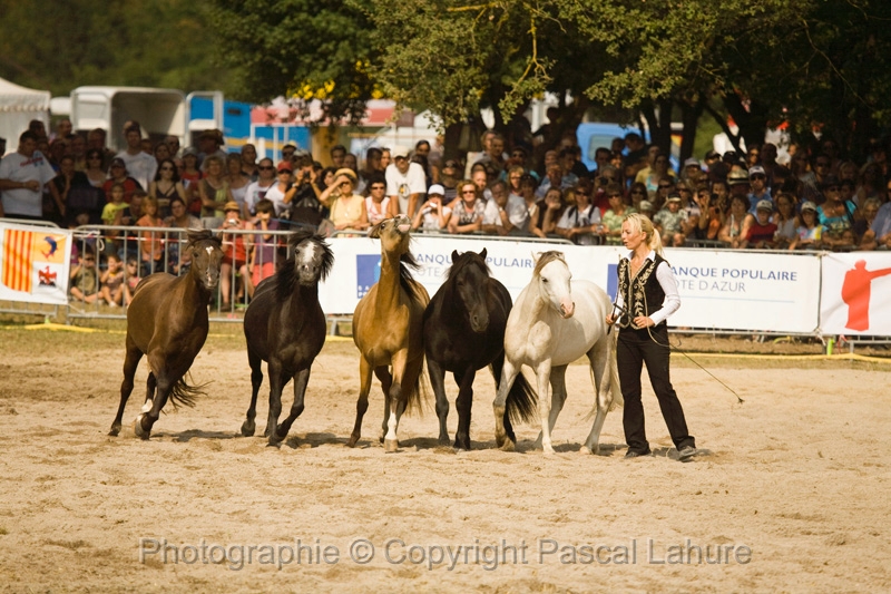 IMG_1627PL.JPG