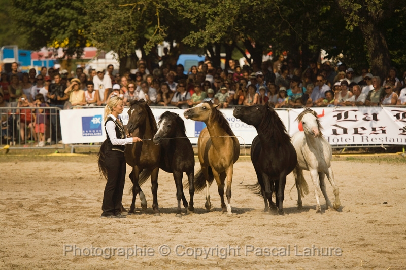 IMG_1630PL.JPG