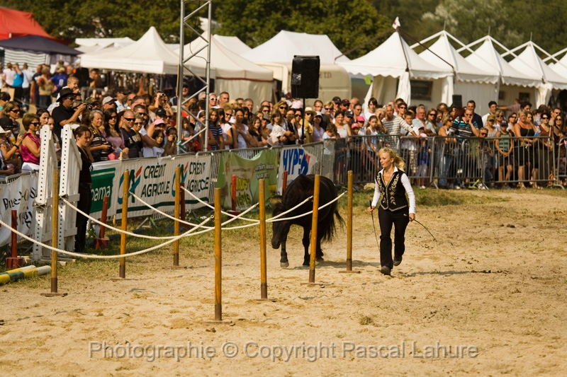 IMG_1632PL.JPG