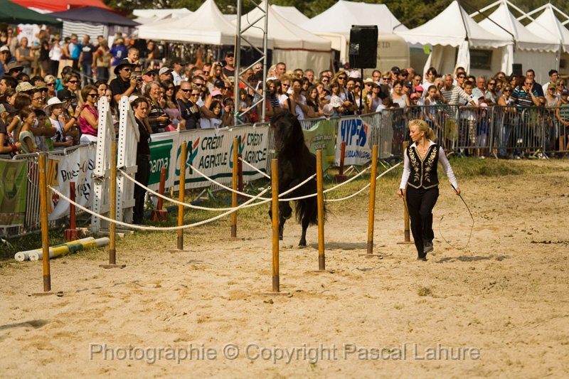 IMG_1633PL.JPG