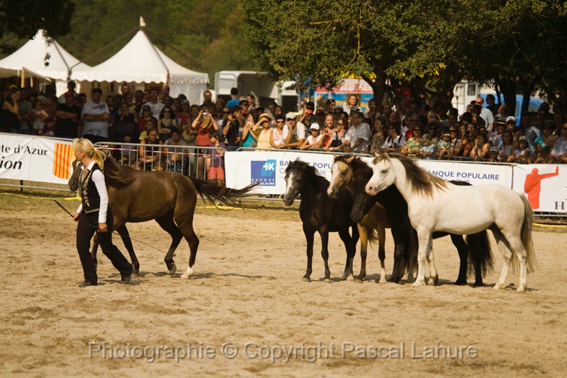 IMG_1641PL.JPG