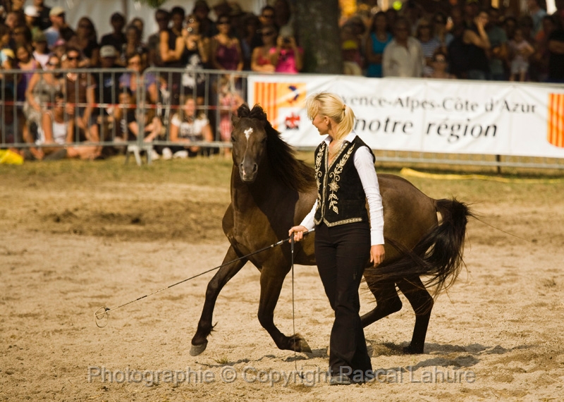 IMG_1642PL.JPG