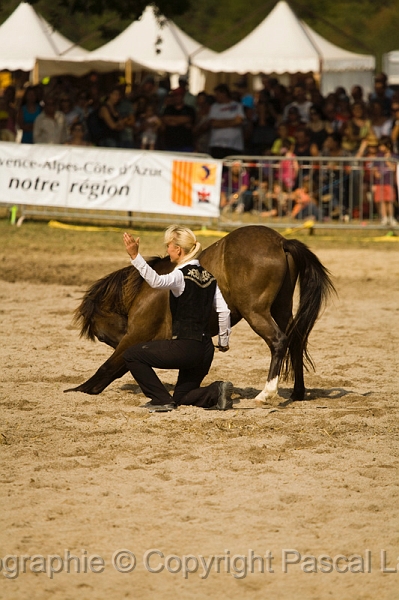 IMG_1643PL.JPG
