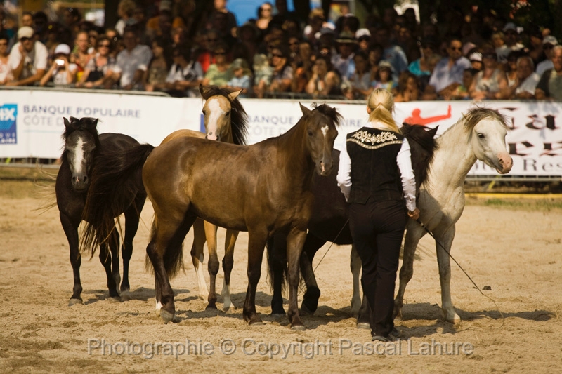IMG_1644PL.JPG