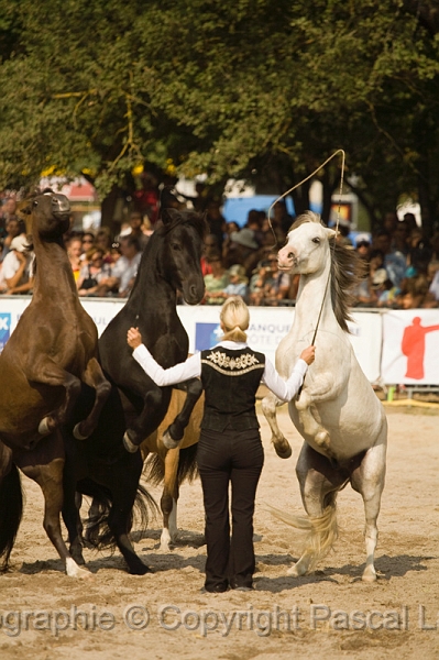 IMG_1645PL.JPG