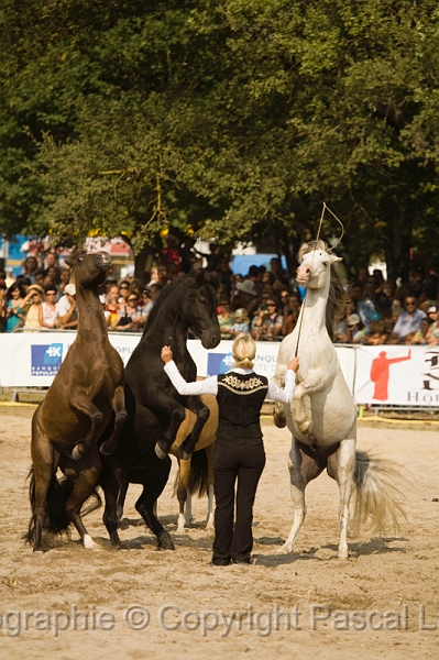 IMG_1646PL.JPG