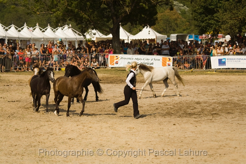 IMG_1660PL.JPG