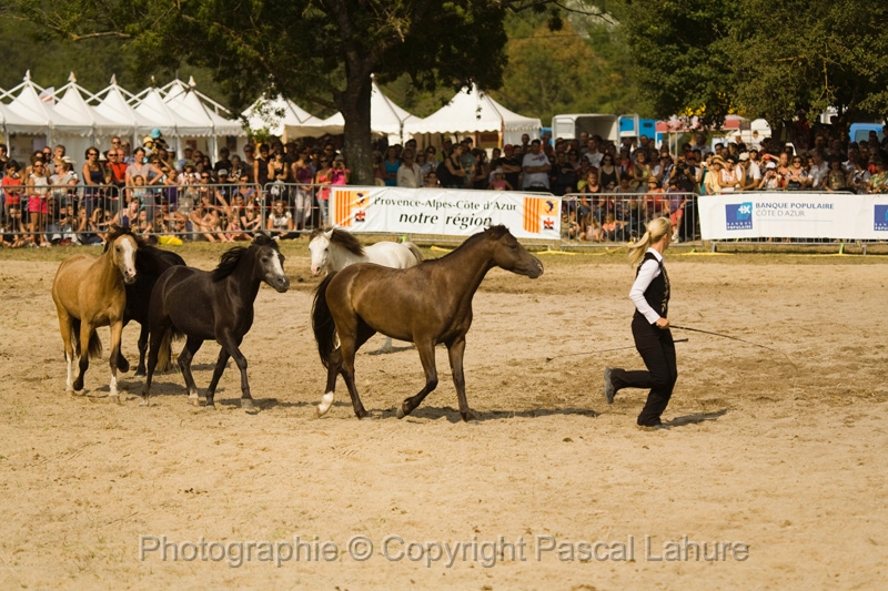 IMG_1661PL.JPG