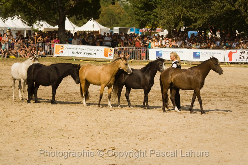 IMG_1662PL.JPG