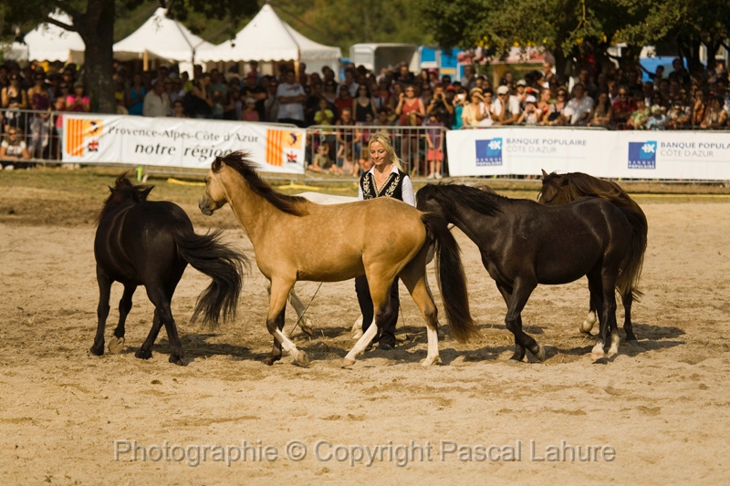 IMG_1664PL.JPG